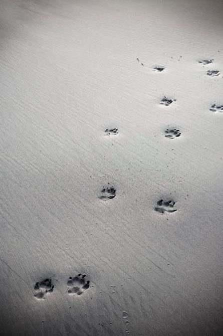 46f377199548936994e5c7aedc011a9a